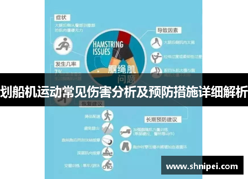 划船机运动常见伤害分析及预防措施详细解析