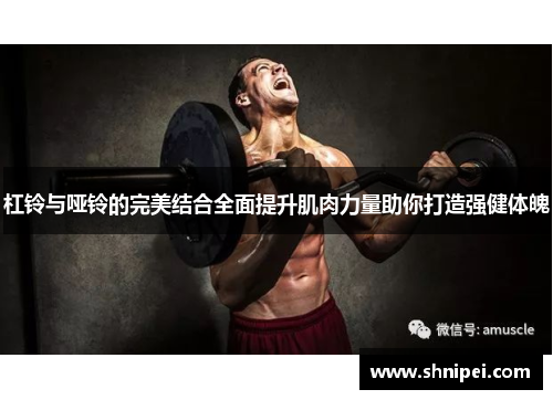 杠铃与哑铃的完美结合全面提升肌肉力量助你打造强健体魄