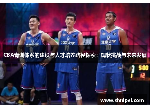 CBA青训体系的建设与人才培养路径探索：现状挑战与未来发展