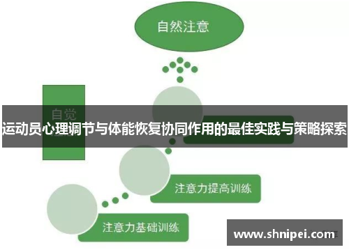 运动员心理调节与体能恢复协同作用的最佳实践与策略探索