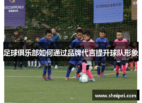 足球俱乐部如何通过品牌代言提升球队形象