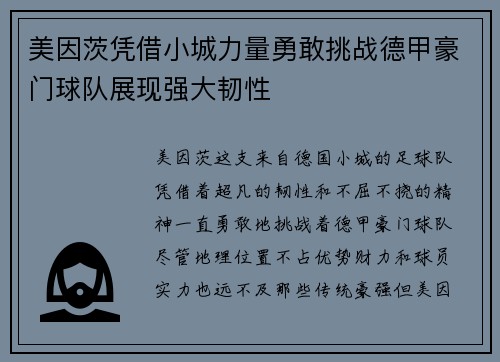 美因茨凭借小城力量勇敢挑战德甲豪门球队展现强大韧性