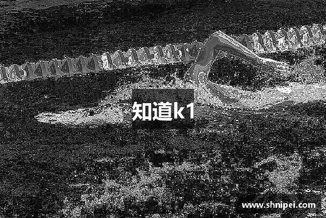 知道k1